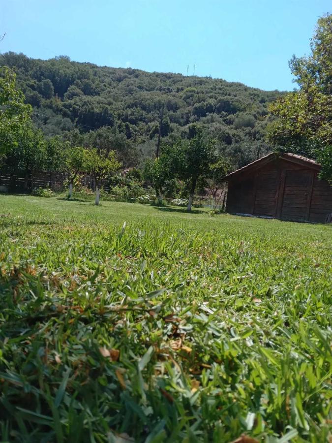 The Lake House" -Trichonida Lake Marathias  Esterno foto